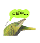うちのインコさん達2（Ouchinoinko2）（個別スタンプ：19）