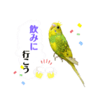 うちのインコさん達2（Ouchinoinko2）（個別スタンプ：24）