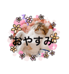 ねむねこスタンプ（ねず＆える）（個別スタンプ：3）