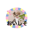 ねむねこスタンプ（ねず＆える）（個別スタンプ：7）