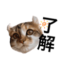 ねむねこスタンプ（ねず＆える）（個別スタンプ：18）