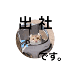 ねむねこスタンプ（ねず＆える）（個別スタンプ：20）