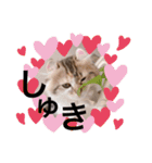 ねむねこスタンプ（ねず＆える）（個別スタンプ：24）