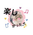 ねむねこスタンプ（ねず＆える）（個別スタンプ：30）