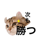 ねむねこスタンプ（ねず＆える）（個別スタンプ：32）
