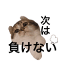 ねむねこスタンプ（ねず＆える）（個別スタンプ：33）
