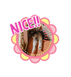 ねむねこスタンプ（ねず＆える）（個別スタンプ：39）