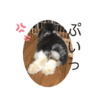 蒼空のおうちスタンプ①（個別スタンプ：5）