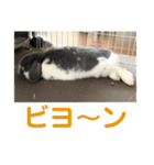 蒼空のおうちスタンプ①（個別スタンプ：8）