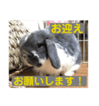 蒼空のおうちスタンプ①（個別スタンプ：13）