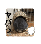 蒼空のおうちスタンプ①（個別スタンプ：14）