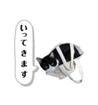 マスオと愉快な仲間達（個別スタンプ：1）