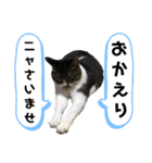 マスオと愉快な仲間達（個別スタンプ：2）