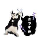 マスオと愉快な仲間達（個別スタンプ：4）