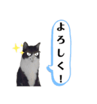 マスオと愉快な仲間達（個別スタンプ：9）
