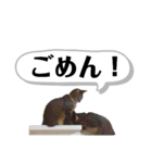 マスオと愉快な仲間達（個別スタンプ：15）