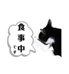 マスオと愉快な仲間達（個別スタンプ：16）