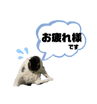 マスオと愉快な仲間達（個別スタンプ：17）
