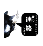マスオと愉快な仲間達（個別スタンプ：19）
