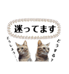 マスオと愉快な仲間達（個別スタンプ：21）