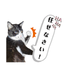 マスオと愉快な仲間達（個別スタンプ：22）