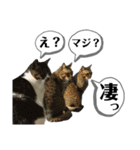 マスオと愉快な仲間達（個別スタンプ：23）