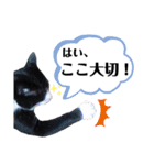 マスオと愉快な仲間達（個別スタンプ：26）