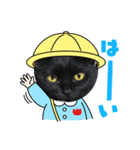 毎日使える黒猫ランちゃん（個別スタンプ：2）
