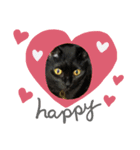 毎日使える黒猫ランちゃん（個別スタンプ：7）