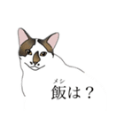 ビリ助スタンプ（個別スタンプ：2）