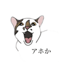 ビリ助スタンプ（個別スタンプ：8）