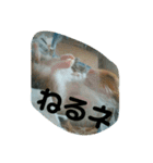 きんちゃんヌードル（個別スタンプ：1）