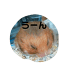 きんちゃんヌードル（個別スタンプ：3）