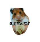 きんちゃんヌードル（個別スタンプ：4）