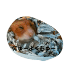 きんちゃんヌードル（個別スタンプ：6）