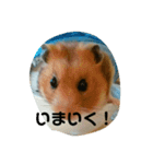 きんちゃんヌードル（個別スタンプ：12）