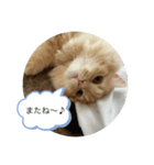 もなか大好きスタンプ♪（個別スタンプ：1）