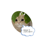 もなか大好きスタンプ♪（個別スタンプ：3）