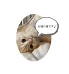 もなか大好きスタンプ♪（個別スタンプ：4）