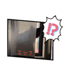 ジジの1日だにゃ（個別スタンプ：3）