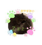 ジジの1日だにゃ（個別スタンプ：4）
