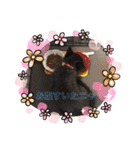 ジジの1日だにゃ（個別スタンプ：7）