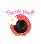 ジジの1日だにゃ（個別スタンプ：14）