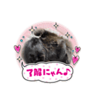 ジジの1日だにゃ（個別スタンプ：18）