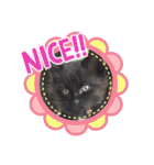 ジジの1日だにゃ（個別スタンプ：20）
