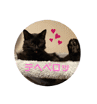 ジジの1日だにゃ（個別スタンプ：25）
