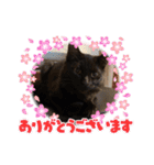 ジジの1日だにゃ（個別スタンプ：26）