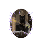 ジジの1日だにゃ（個別スタンプ：28）