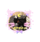 ジジの1日だにゃ（個別スタンプ：29）