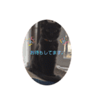 ジジの1日だにゃ（個別スタンプ：33）